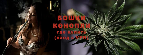 винт Богданович