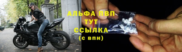 спиды Богородск